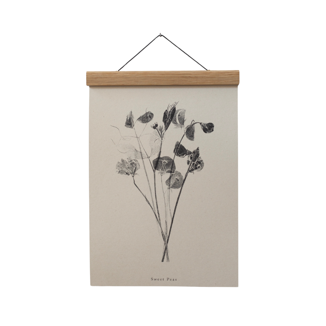 Sweet Peas A5 Botanical Art Print