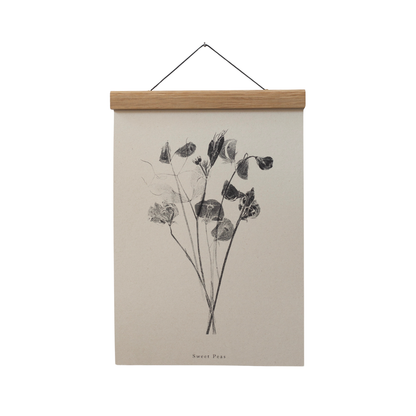Sweet Peas A5 Botanical Art Print