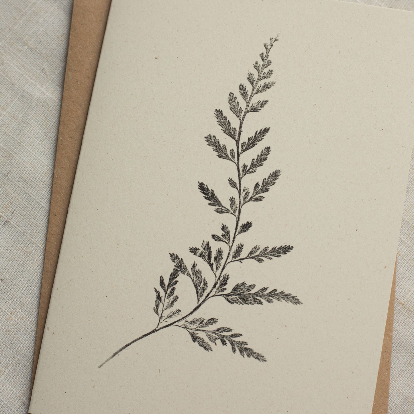 Fern Greeting Card
