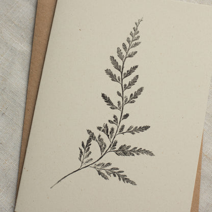 Fern Greeting Card