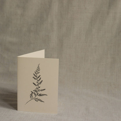 Fern Greeting Card