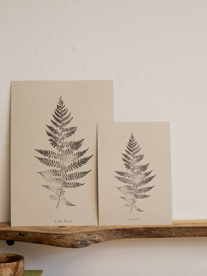 A4 Botanical Art Print - Lady Fern 