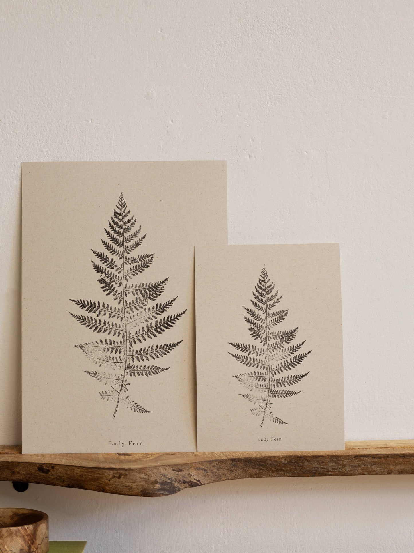 Lady Fern A5 Botanical Art Print